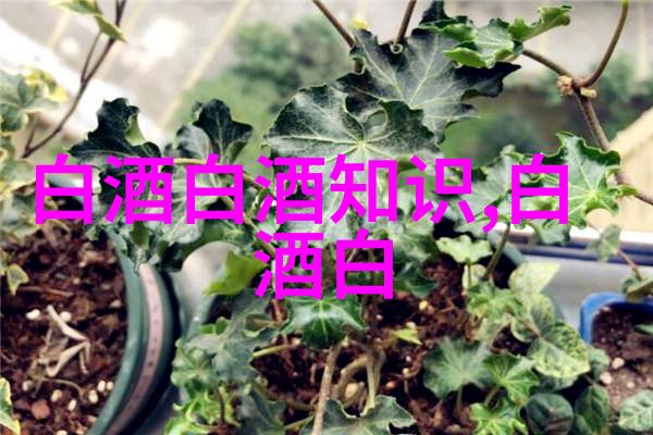 贵州茅台2025年将调整飞天53度500ml茅台酒等产品投放量