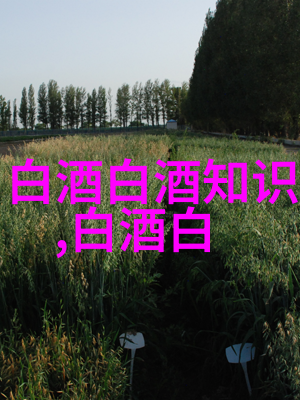 川派浓香与江淮浓香在口感上有什么显著区别