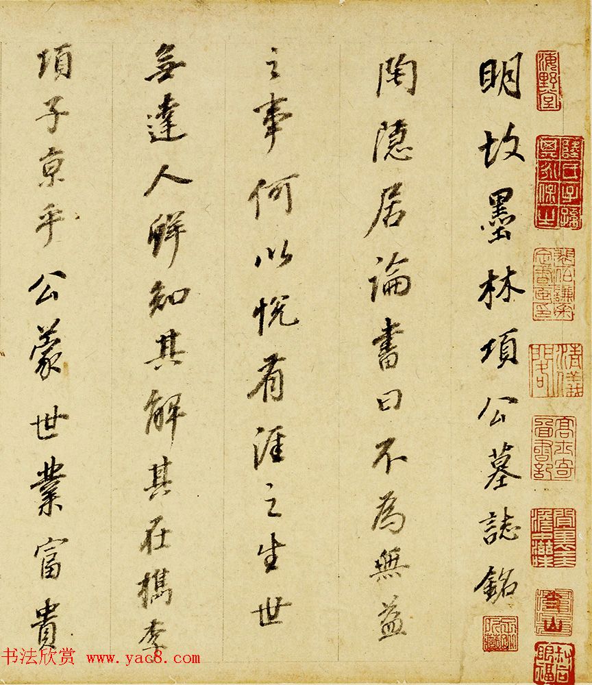 白酒煮鸡蛋传统与创新的味蕾盛宴_白酒煮鸡蛋怎么煮